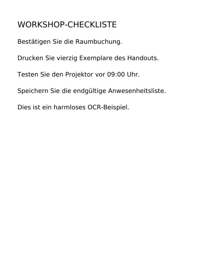 Tatsächliche reine Bildcheckliste vor OCR ohne auswählbare Textebene.