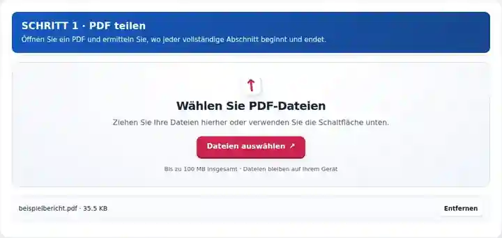 PDF teilen, Schritt 1: Öffnen Sie ein PDF und ermitteln Sie, wo jeder vollständige Abschnitt beginnt und endet.