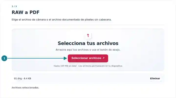 RAW a PDF: selección de un RAW de cámara compatible o un archivo de píxeles sin cabecera.