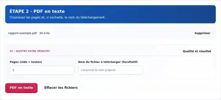 PDF en texte, étape 2 : Choisissez les pages et, si souhaité, le nom du téléchargement.