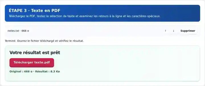Texte en PDF, étape 3 : Téléchargez le PDF, testez la sélection de texte et examinez les retours à la ligne et les caractères spéciaux.