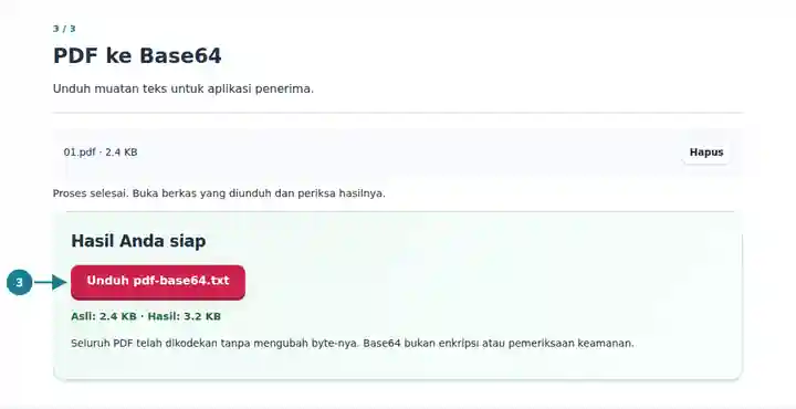 PDF ke Base64: unduhan teks terkode yang selesai.