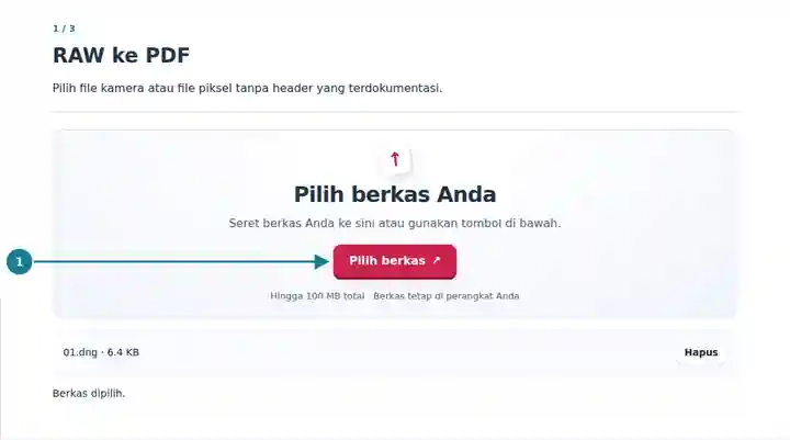 RAW ke PDF: memilih RAW kamera yang didukung atau file piksel tanpa header.