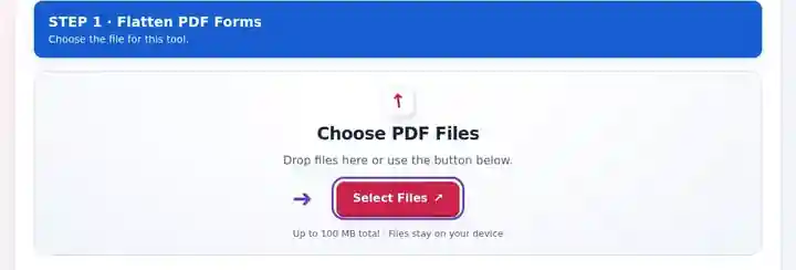 Flatten PDF Forms, step 1: Choose a completed PDF form and inspect its saved answers and checkboxes.