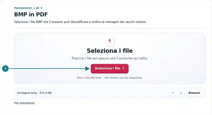 BMP in PDF, passaggio 1: Seleziona i file BMP che il browser può decodificare e ordina le immagini dei vecchi sistemi.