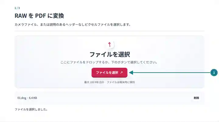 RAW から PDF への変換:対応カメラ RAW またはヘッダーなしピクセルファイルの選択。
