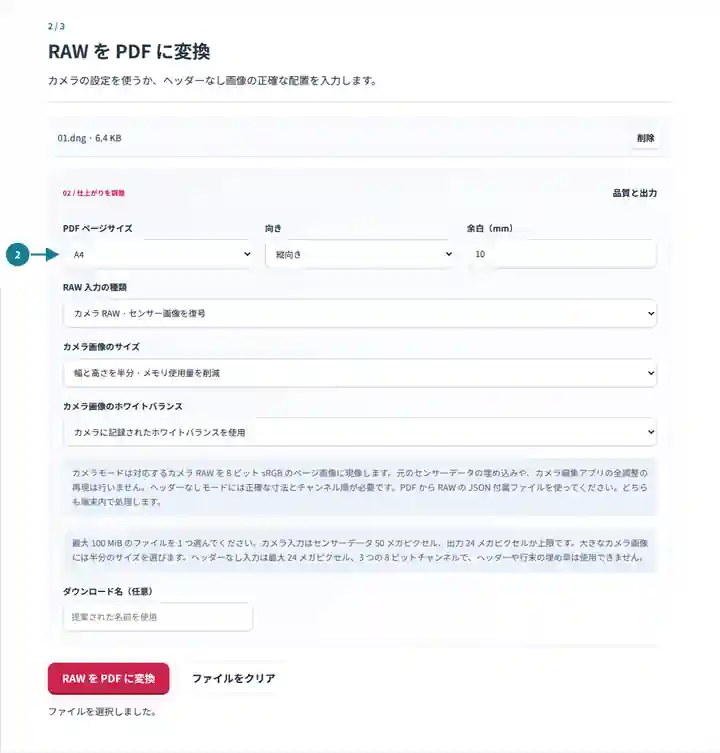 RAW から PDF への変換:入力モード、ピクセル配置、PDF ページ設定。