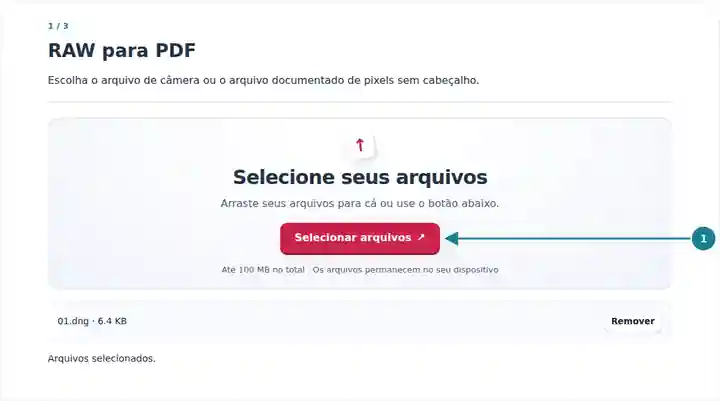 RAW para PDF: seleção de um RAW de câmera compatível ou arquivo de pixels sem cabeçalho.