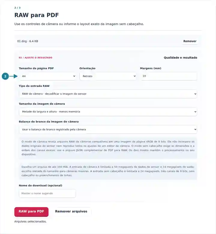 RAW para PDF: modo de entrada, layout dos pixels e configurações da página PDF.