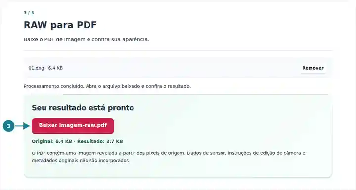 RAW para PDF: conversão da imagem concluída e download do PDF.