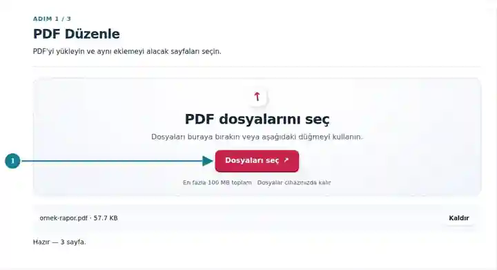 PDF Düzenle, adım 1: PDF'yi yükleyin ve aynı eklemeyi alacak sayfaları seçin.